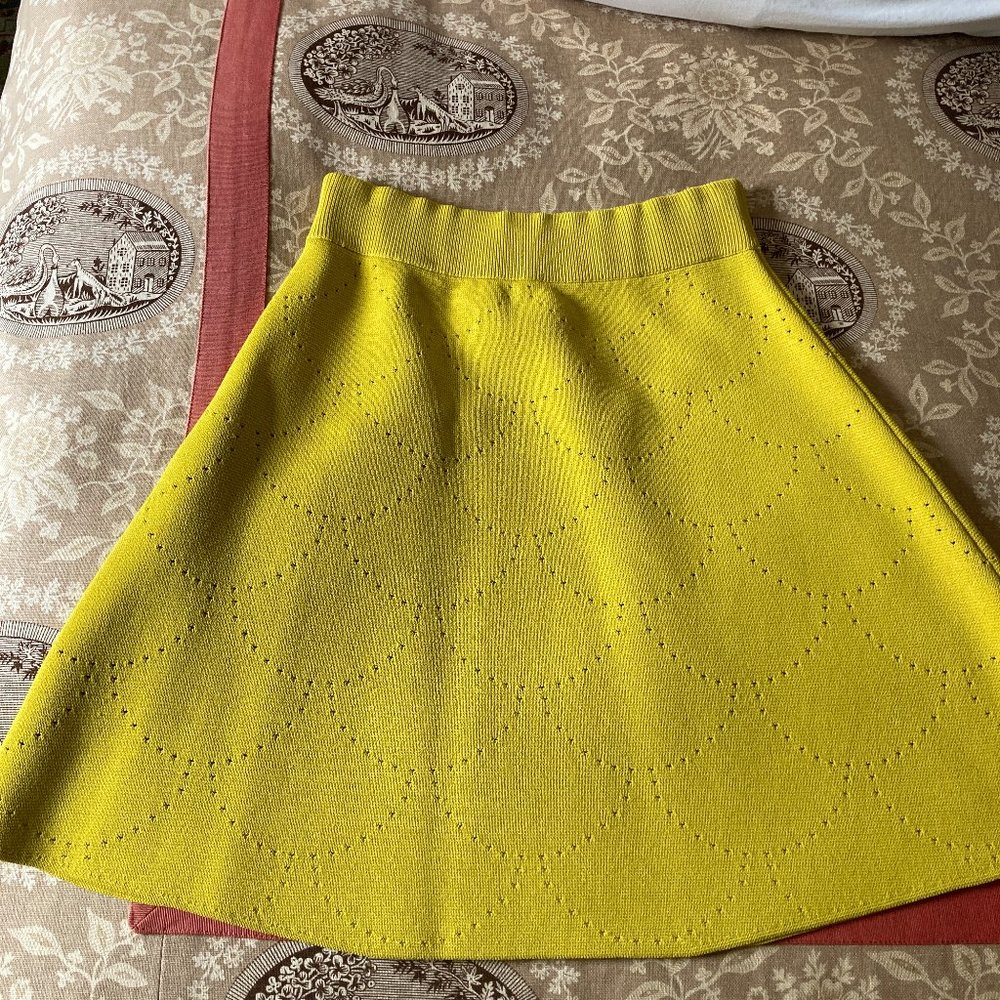 A.L.C A line skirt (size 2)